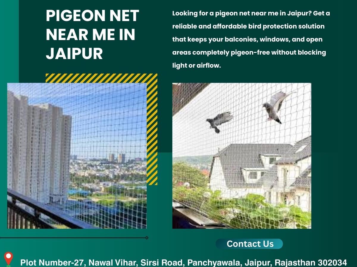 Pigeon net near me.jpg